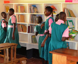 Buildings & Books Dendyo Library